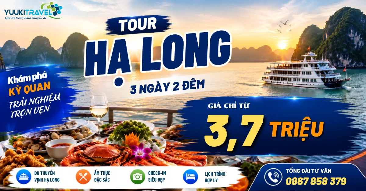 Tour Hạ Long 3 Ngày 2 Đêm Giá 3,7 Triệu: Du Thuyền & Check-in